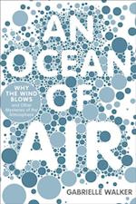 Ocean of Air