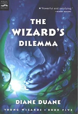 Wizard's Dilemma