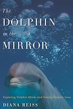 Dolphin in the Mirror