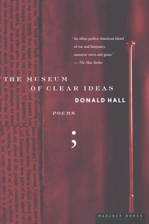 Museum of Clear Ideas