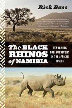 Black Rhinos Of Namibia