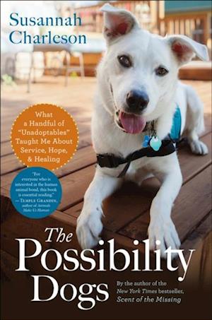 Possibility Dogs