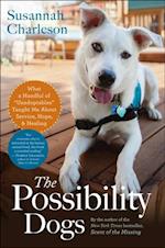 Possibility Dogs