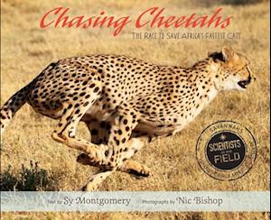 Chasing Cheetahs