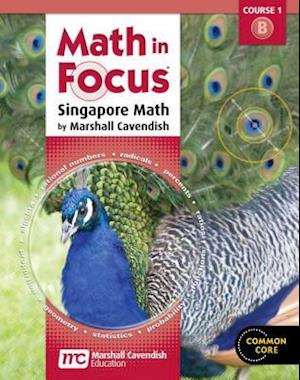 Math in Focus Course 1b Grd 6