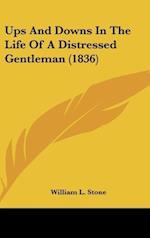 Ups And Downs In The Life Of A Distressed Gentleman (1836)