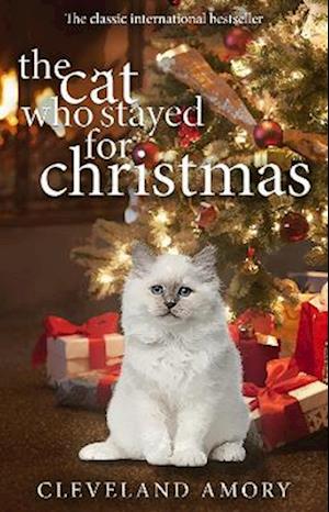 The Cat Who Stayed For Christmas