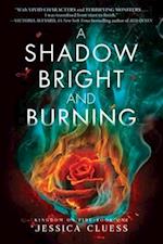 Shadow Bright and Burning (Kingdom on Fire, Book One)