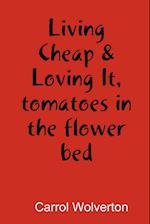 Living Cheap & Loving It, tomatoes in the flower bed