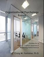 Organizational Psychology Essays 