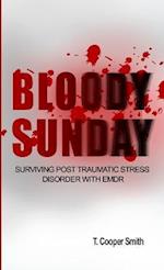 Bloody Sunday Surviving Post Traumatic Stress Disorder With EMDR 