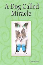 A Dog Called Miracle 