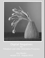 Digital Negatives for palladium and other alternative processes 