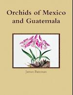 Orchids of Mexico and Guatemala 