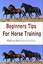 BEGINNERS TIPS FOR HORSE TRAINING