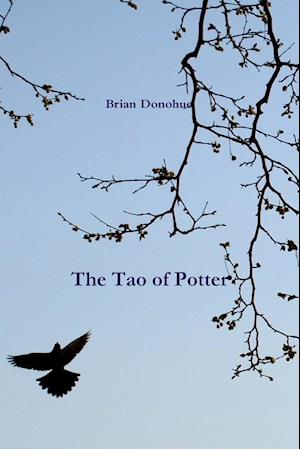 The Tao of Potter