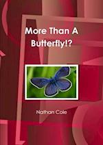 More Than A Butterfly!? 