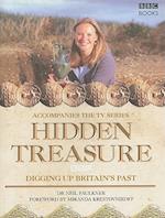 Hidden Treasure