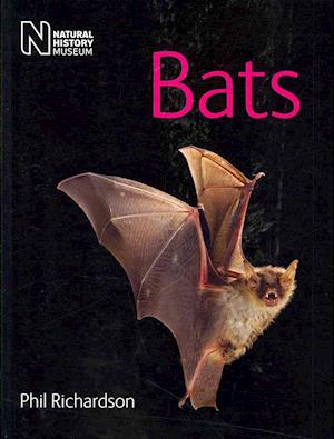 Bats