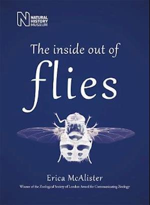 The Inside Out of Flies