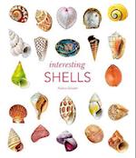 Interesting Shells