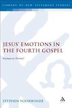 Jesus' Emotions in the Fourth Gospel