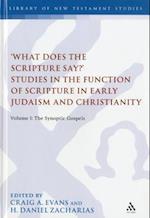 What Does the Scripture Say?' Studies in the Function of Scripture in Early Judaism and Christianity