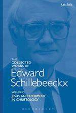 The Collected Works of Edward Schillebeeckx Volume 6