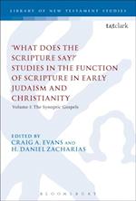 What Does the Scripture Say?'' Studies in the Function of Scripture in Early Judaism and Christianity
