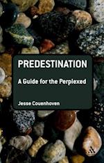 Predestination: A Guide for the Perplexed