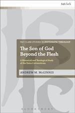 The Son of God Beyond the Flesh