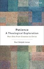 Patience—A Theological Exploration