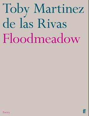 Floodmeadow