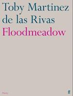 Floodmeadow