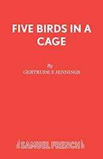 Five Birds in Cage