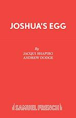 Joshua's Egg