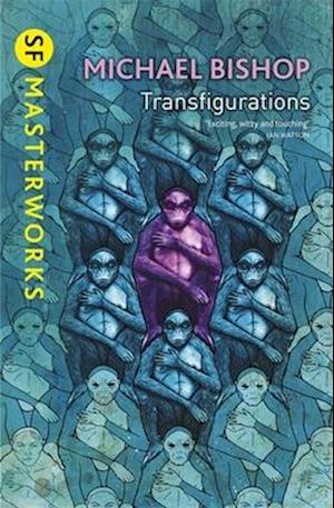 Transfigurations