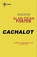 Cachalot