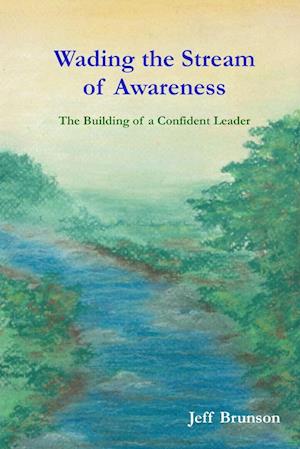 Wading the Stream of Awareness