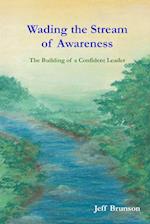 Wading the Stream of Awareness 