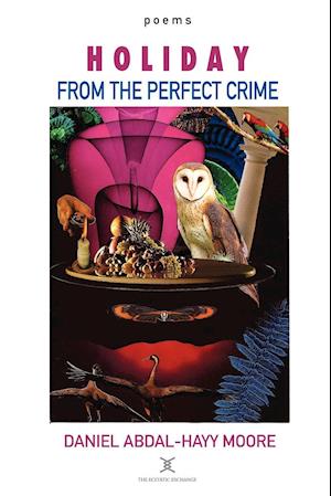 Holiday from the Perfect Crime / Poems