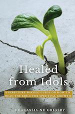 Healed From Idols: A Scripture-Backed Guide on How to Read the Bible for Spiritual Growth 