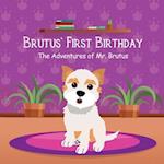 Brutus' First Birthday: The Adventures of Mr. Brutus 