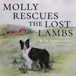 Molly Rescues the Lost Lambs