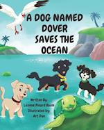 A Dog Named Dover Saves The Ocean 