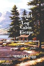 Sequel to Log Cabin Escape 