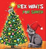 Rex Waits For Santa