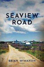 Seaview Road: A Novel 