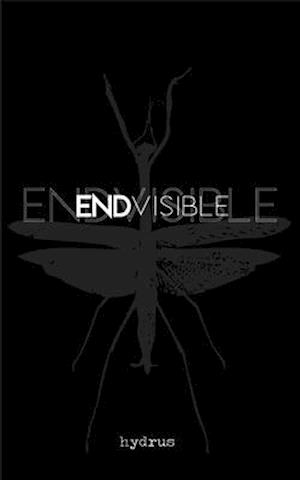 ENDVISIBLE