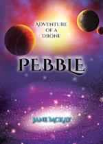 Pebble: Adventures of a Drone 